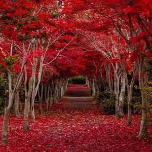 Meet your Posher, Chrina